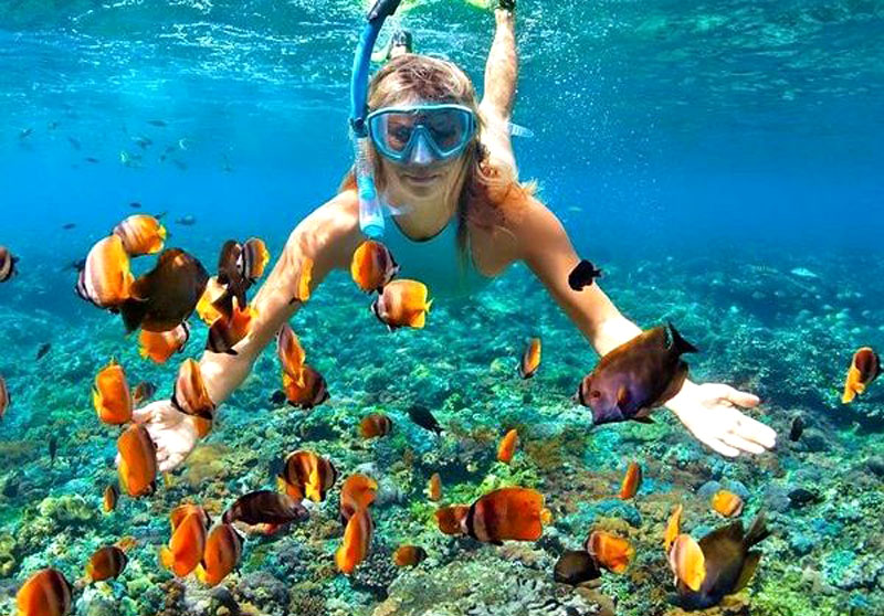 Snorkeling Trip