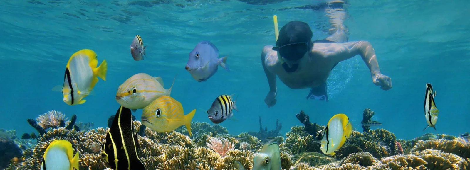 Morning Dive Trip In Khorfakkan