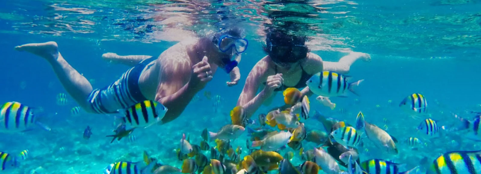 Snorkeling Khorfakkan