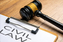 Dispute Resolution & Litigation